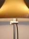 l_tl perspex brown tulip 3